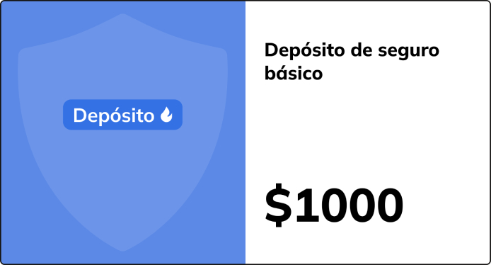 vydy-strahovogo-depozytu-na-obmify-shho-vony-oznachayut-dlya-tebe-1-sp