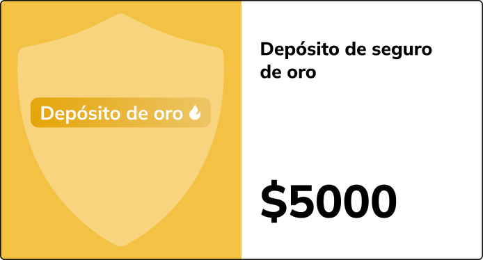 vydy-strahovogo-depozytu-na-obmify-shho-vony-oznachayut-dlya-tebe-2-sp